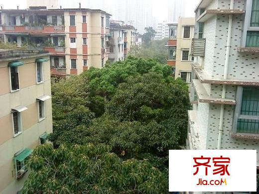 海珠沙园小区外景图