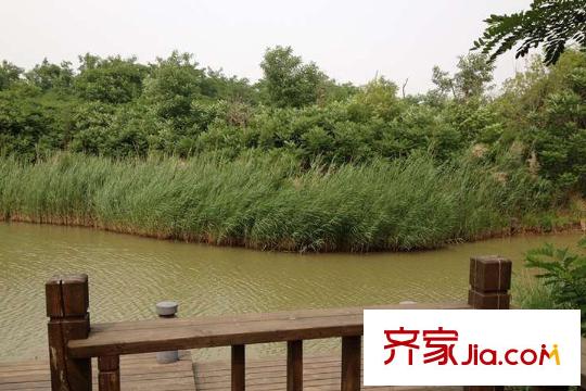 貽成峰景周邊臨近的公園