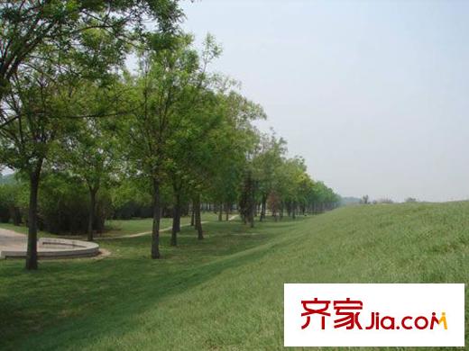 澤天下周邊綠地