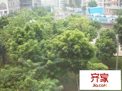 东兴小区外景图