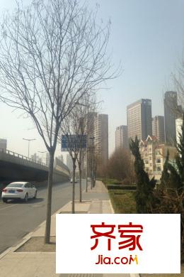 奕聰花園別墅實景圖小區(qū)（2015-3）