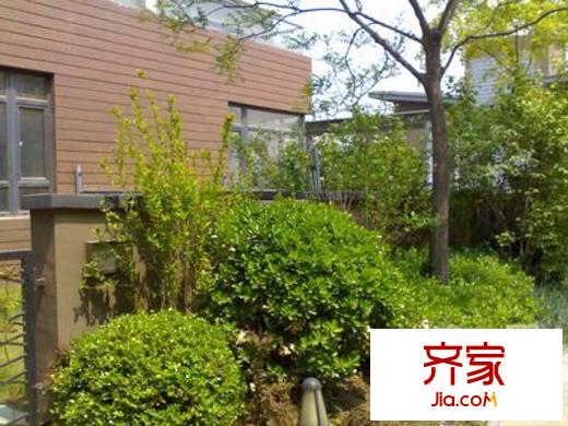 俊城荷蘭墅別墅外景圖