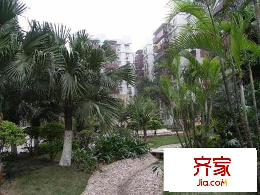 中山一路小区外景图