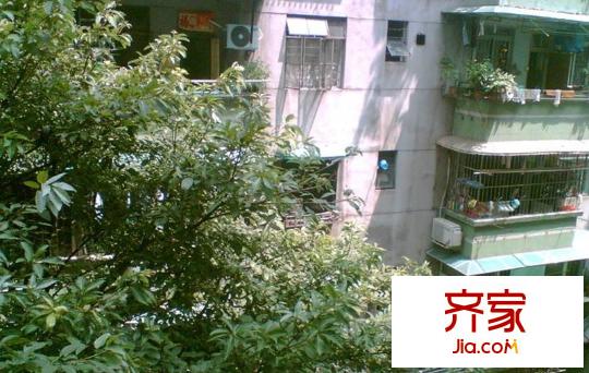 盘福路大院外景图