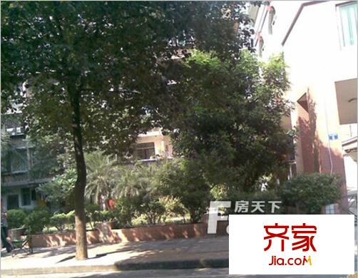 盘福路大院外景图