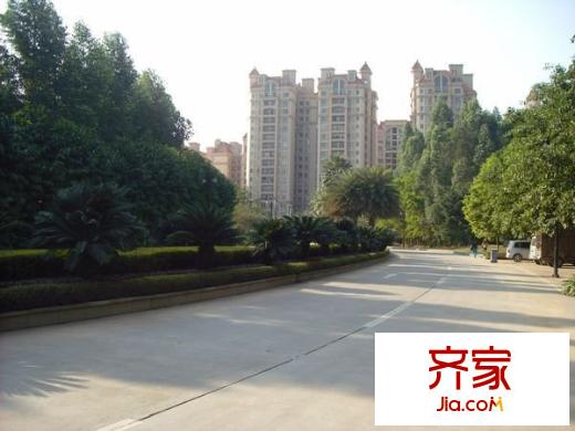 翡翠绿洲森林半岛外景图