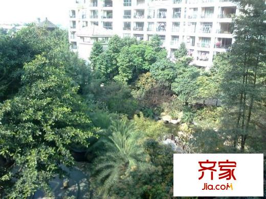 翡翠绿洲森林半岛外景图