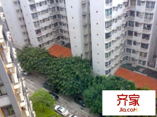 丽江花园德字楼外景图