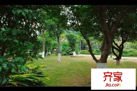 广州新塘新世界花园项目(2015.1.20)