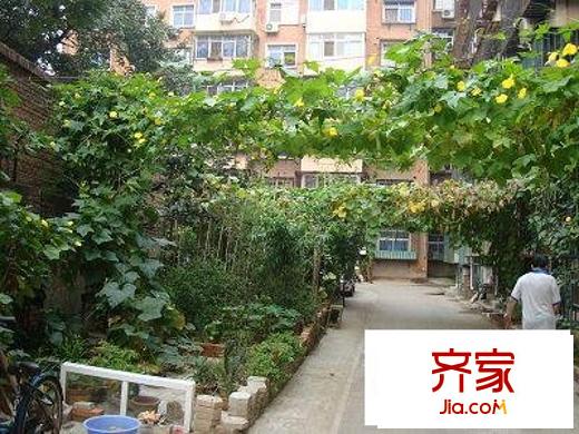 興泰西里外景圖