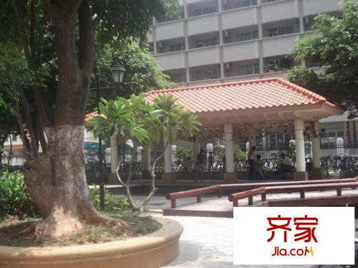 金碧领秀国际外景图
