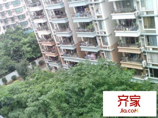 珠江南景园外景图