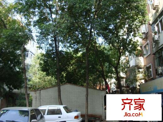 ?？道锿饩皥D