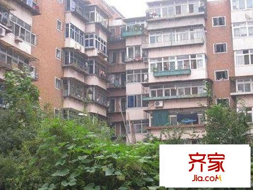 瑞德里外景圖