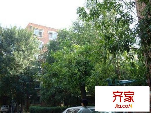 玉皇里
