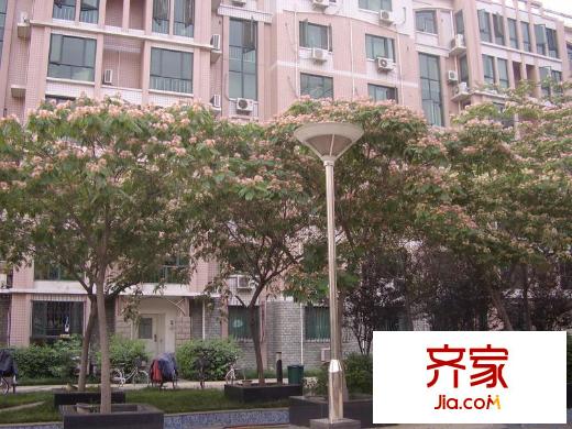 半島藍(lán)灣外景圖