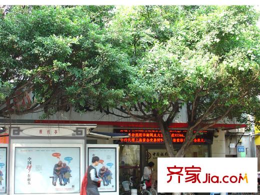 富基广场距离项目300米远的中国银行