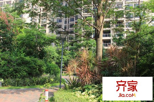 诺德名都小区园林(2015.7.30)