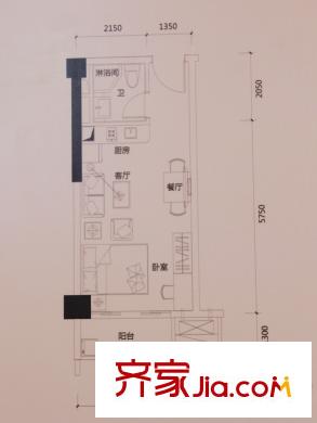 大壮国际广场G1/G2栋01户型 1室1厅1卫1厨