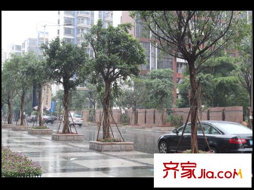 江山国际小区外道路