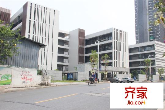 江山国际小区(2015.11.12)