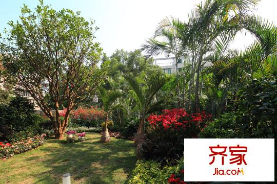 九洲海誉居园林(2015-03-20)