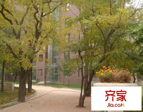 富力津門湖棕櫚花園外景圖