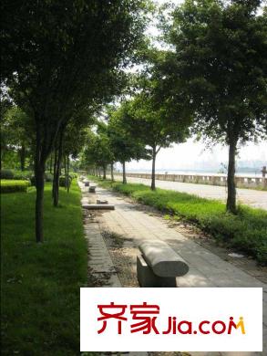 保利天悦往西北200米的沿江绿化带