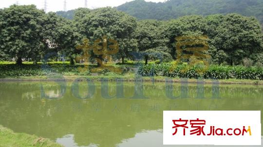 锦林山庄距离项目100米左右的风景
