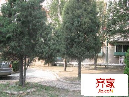 云龍里外景圖