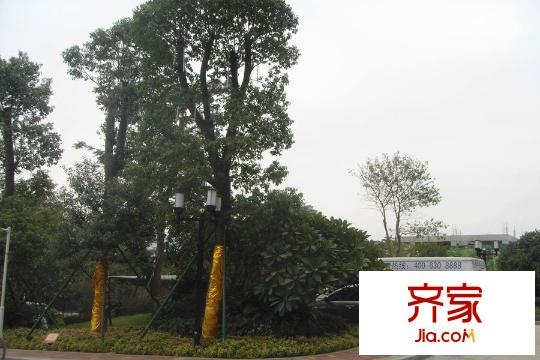 敏捷・锦绣星河(2015-03-24)