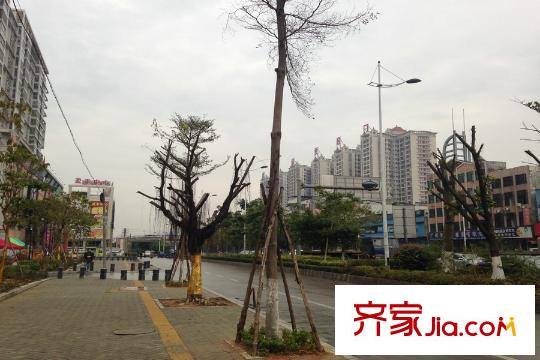 水电广场项目左侧对开的道路景观