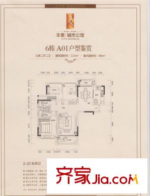 丰泰城市公馆6栋A01户型 3室2厅2卫