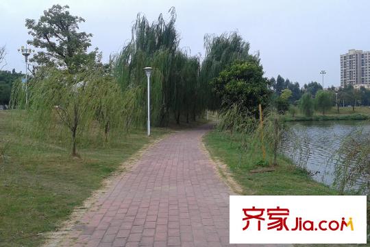 倾城国际距离项目车程5分钟的湖公园