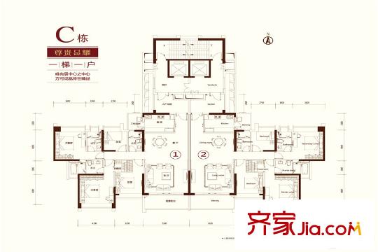 天荟公馆C栋户型图