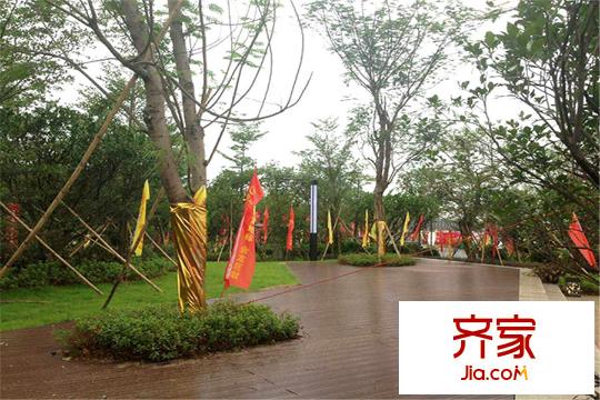 金龙城财富广场园林(2015-9-8)