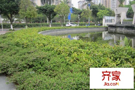 金海御苑小区园林(2015-3)