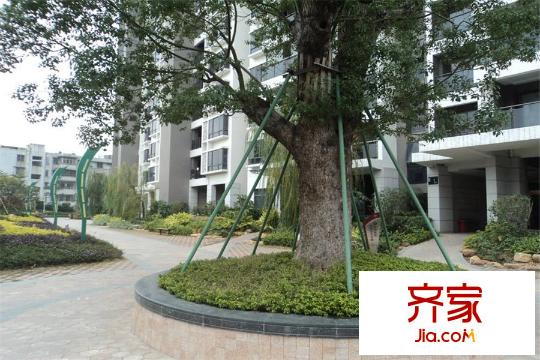 隆泰逸品君庭(2015-01)