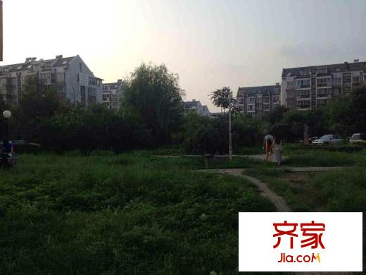 水木天成聞濤園外景圖 