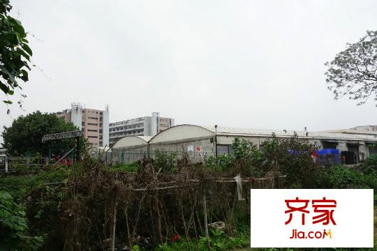 新城市江南项目(2015-03)