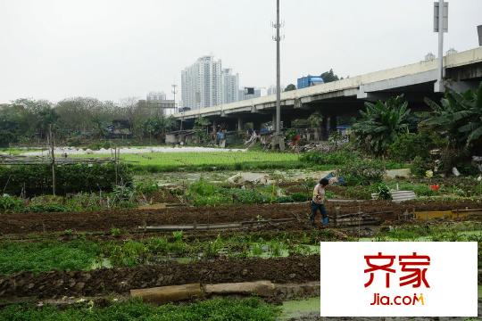 新城市江南项目(2015-03)