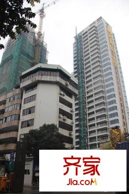 东山上品(2015-03)