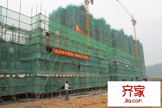 森林中央(2015-06)