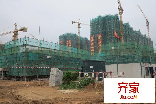 森林中央(2015-06)