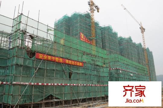 森林中央(2015-06)