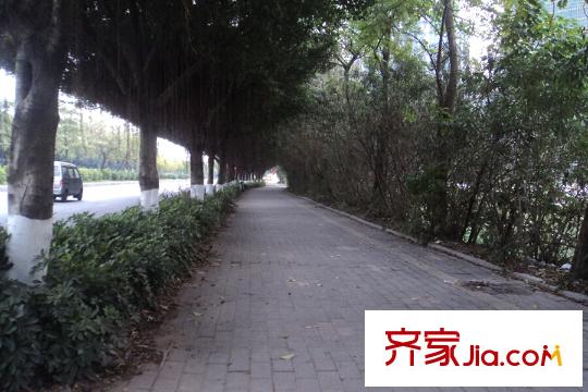 珠江岭南苑距离项目约10米的绿道