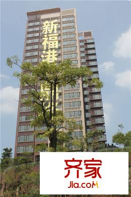 广州新福港99鼎峰户型图,装修效果图,实景图,交通图