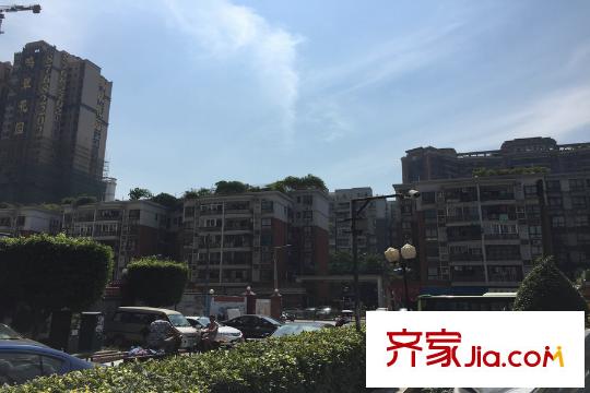 新城国际寓距离项目700米的鸣翠花园