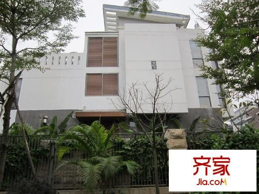 招商金山谷别墅实景(2012-2)