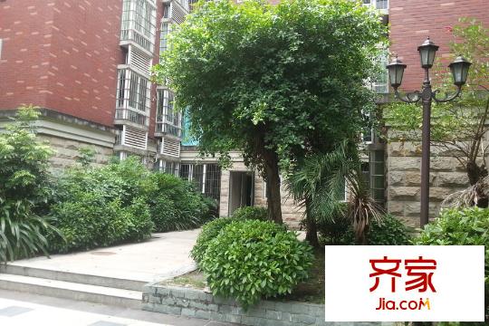 倚绿山庄・尚院小区内绿植(2015-9)